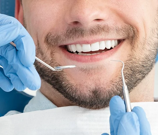 Teeth