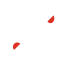 shamel logo